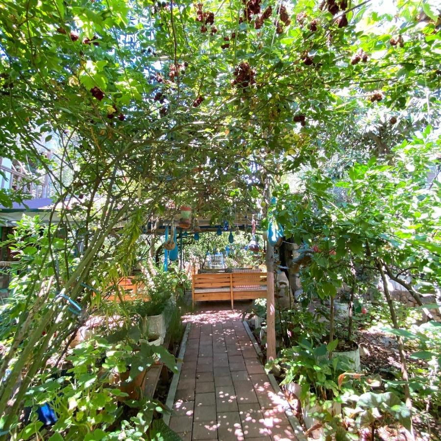 Likya Pansiyon Kaleucagız Exterior foto