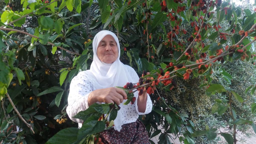 Likya Pansiyon Kaleucagız Exterior foto