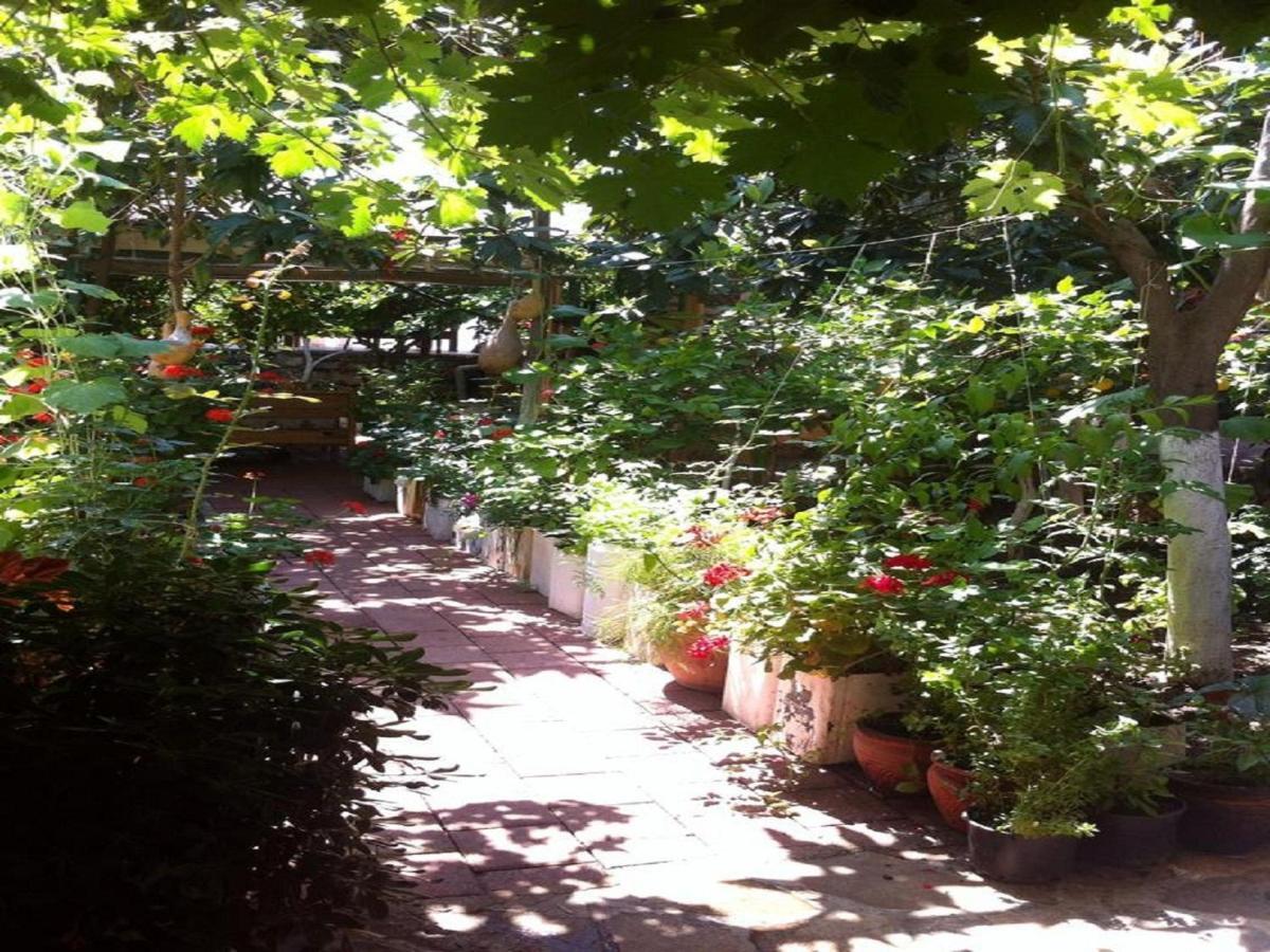 Likya Pansiyon Kaleucagız Exterior foto